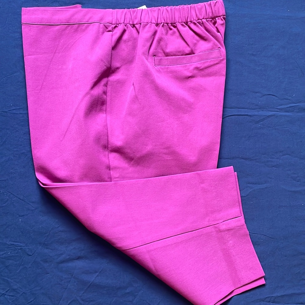 Purple capri pants size 20wp
